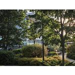 Foto dei utenti Xiaomi 15T Pro