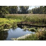 Foto dei utenti Xiaomi 15T Pro