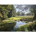 Foto dei utenti Xiaomi 15T Pro