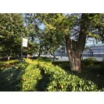 Foto dei utenti Xiaomi 15T Pro