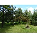 Imágenes de los usuarios Xtreamer Mobile Xtreamer JoyZ Imágenes de los usuarios Xtreamer Mobile Xtreamer JoyZ