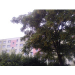 Imágenes de los usuarios Xtreamer Mobile Xtreamer JoyZ Imágenes de los usuarios Xtreamer Mobile Xtreamer JoyZ