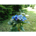 Imágenes de los usuarios Xtreamer Mobile Xtreamer JoyZ Imágenes de los usuarios Xtreamer Mobile Xtreamer JoyZ