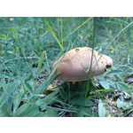 Imágenes de los usuarios Xtreamer Mobile Xtreamer JoyZ Imágenes de los usuarios Xtreamer Mobile Xtreamer JoyZ