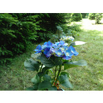 Imágenes de los usuarios Xtreamer Mobile Xtreamer JoyZ Imágenes de los usuarios Xtreamer Mobile Xtreamer JoyZ