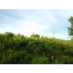 Imágenes de los usuarios Xtreamer Mobile Xtreamer JoyZ Imágenes de los usuarios Xtreamer Mobile Xtreamer JoyZ