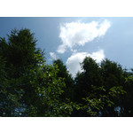 Imágenes de los usuarios Xtreamer Mobile Xtreamer JoyZ Imágenes de los usuarios Xtreamer Mobile Xtreamer JoyZ