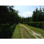 PICTURES FROM THIS PHONE