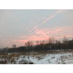 来自这款手机的图片