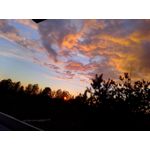 PICTURES FROM THIS PHONE