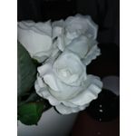 Fotos de usuários ZTE Nubia Z11 Fotos de usuários ZTE Nubia Z11