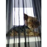 Fotos de usuários ZTE Nubia Z11 Fotos de usuários ZTE Nubia Z11