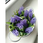 Fotos de usuários ZTE Nubia Z11 Fotos de usuários ZTE Nubia Z11