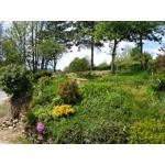 PICTURES FROM THIS PHONE